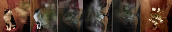 voir la transformation en grand format