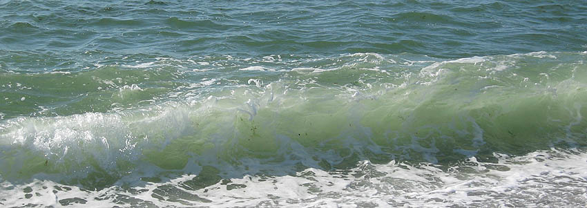 image suivante