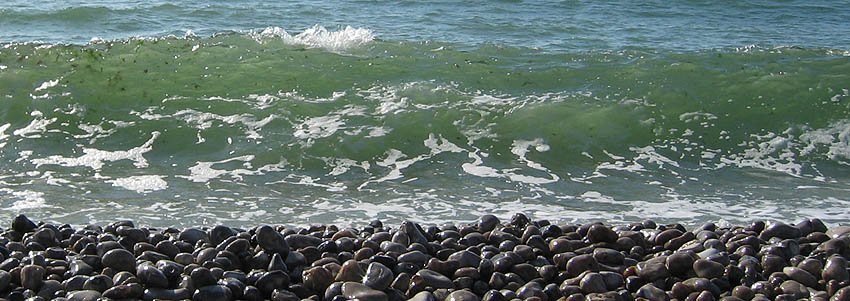 image suivante